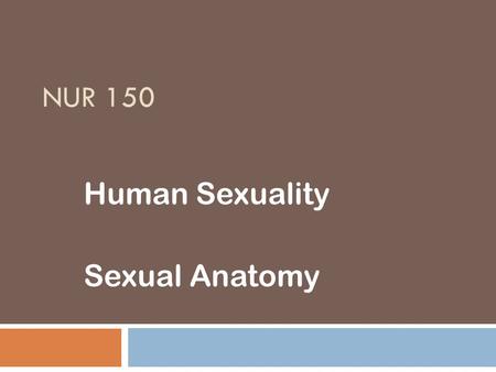 Human Sexuality Sexual Anatomy