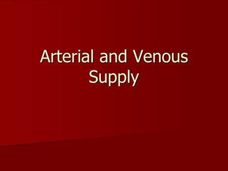 Arterial and Venous Supply