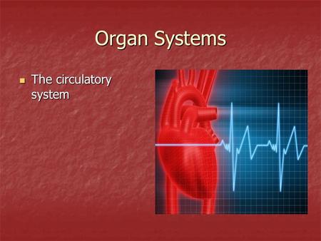 Organ Systems The circulatory system The circulatory system.