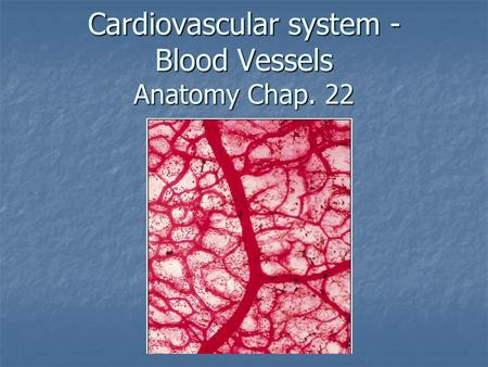 Cardiovascular system - Blood Vessels Anatomy Chap. 22.