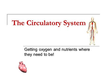 The Circulatory System Getting oxygen and nutrients where they need to be!