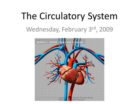 The Circulatory System Wednesday, February 3 rd, 2009.