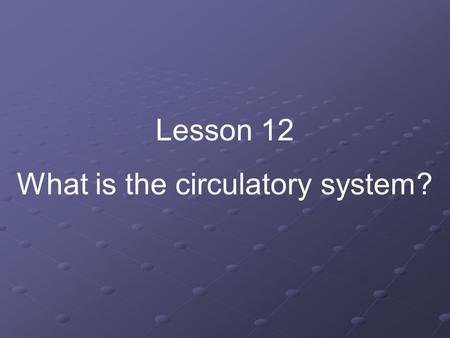 What is the circulatory system?