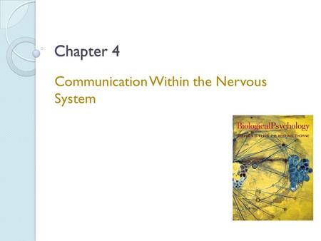 Communication Within the Nervous System