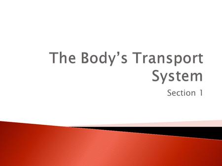 The Body’s Transport System
