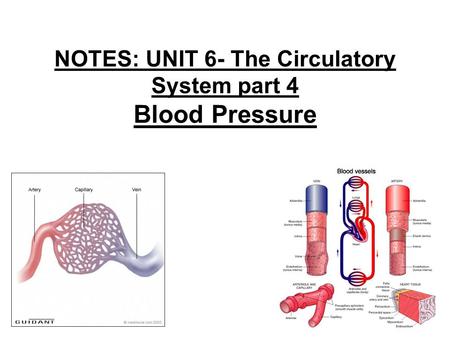 NOTES: UNIT 6- The Circulatory System part 4 Blood Pressure.