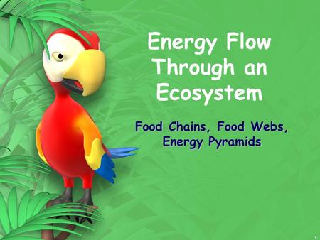 1 Energy Flow Through an Ecosystem Food Chains, Food Webs, Energy Pyramids.