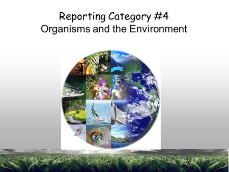 1 Reporting Category #4 Organisms and the Environment.