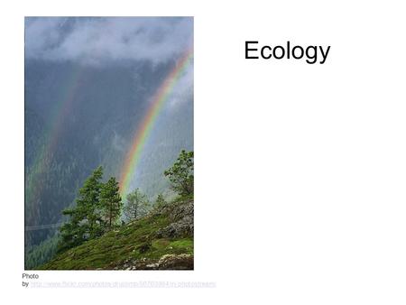 Ecology Photo by