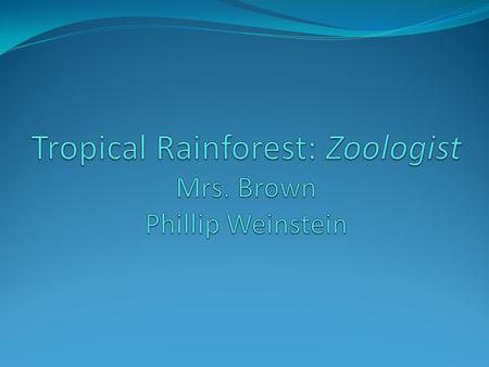 Tropical Rainforest: Zoologist Mrs. Brown Phillip Weinstein