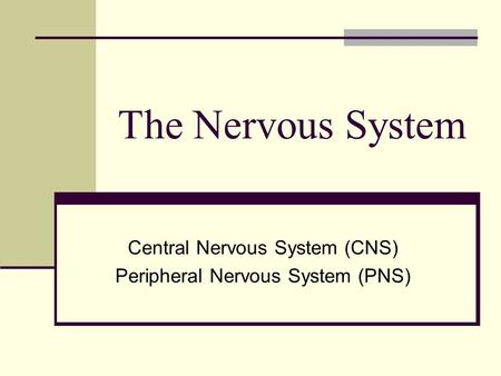 Central Nervous System (CNS) Peripheral Nervous System (PNS)
