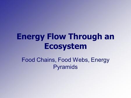 Energy Flow Through an Ecosystem Food Chains, Food Webs, Energy Pyramids.