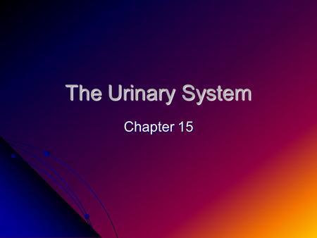 The Urinary System Chapter 15.