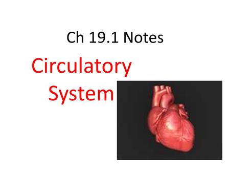 Ch 19.1 Notes Circulatory System. Go with the Flow! What is the circulatory system? Includes 2 Systems 1.Cardiovascular system 2.Lymphatic system. Both.