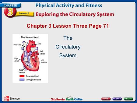 Chapter 3 Lesson Three Page 71 The Circulatory System.