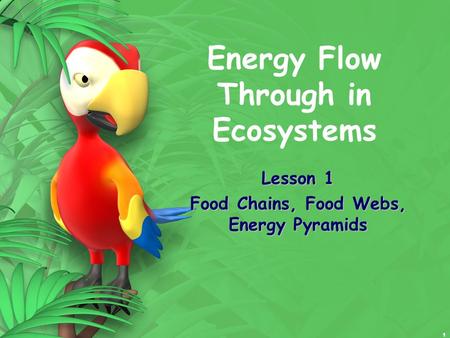 1 Energy Flow Through in Ecosystems Lesson 1 Food Chains, Food Webs, Energy Pyramids.