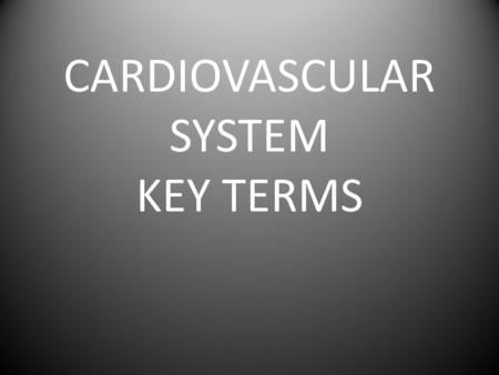 CARDIOVASCULAR SYSTEM KEY TERMS. Cardiovascular System Key Terms FRONT Cardio/Cardiac BACK Having to do with the Heart.