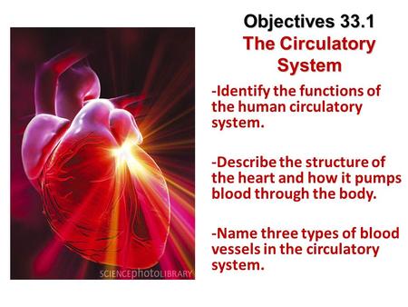 Objectives 33.1 The Circulatory System
