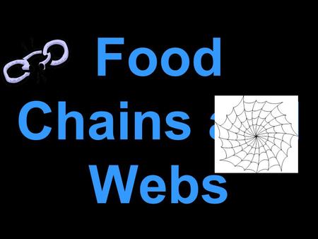 What is a Food Chain? Food Chain A food chain is the path by which energy passes from one living thing to another.