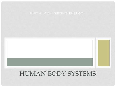 UNIT 6: CONVERTING ENERGY HUMAN BODY SYSTEMS. REVIEW: RECALL THE REACTANTS FOR CELLULAR RESPIRATION… What three major organ systems are directly involved.