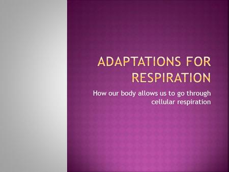How our body allows us to go through cellular respiration.