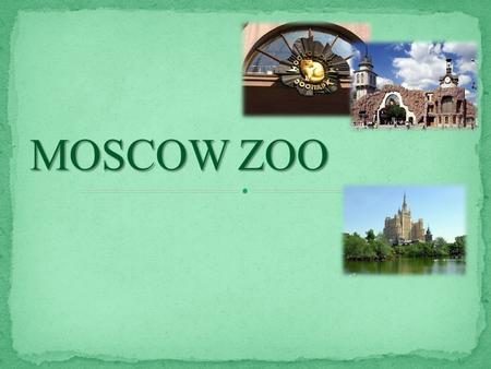 The Moscow Zoo situated in the very center of the Russian capital is one of the largest in the world. The oldest zoo in Russia, established in 1864, passed.