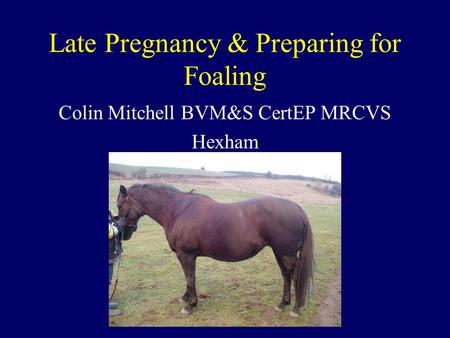 Late Pregnancy & Preparing for Foaling Colin Mitchell BVM&S CertEP MRCVS Hexham.