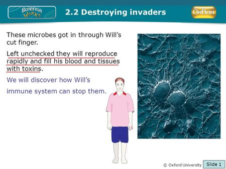 © Oxford University Press 2009 These microbes got in through Will’s cut finger. Left unchecked they will reproduce rapidly and fill his blood and tissues.