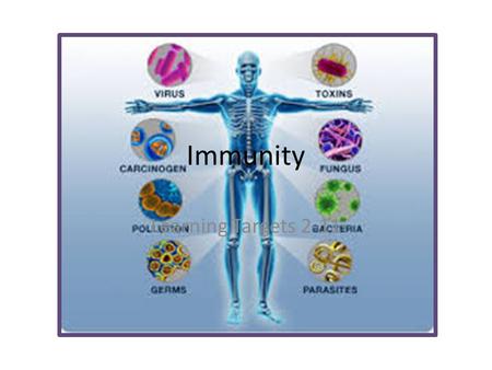 Immunity Learning Targets 2-11. Disease Basics Disease Disease – any change that disrupts the normal function of an organism Caused by… – Bacteria – Viruses.