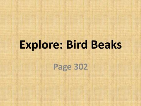Explore: Bird Beaks Page 302. Bird beaks introduction Turn to pg. 302 in your Integrated Science book This is a investigative design activity so let’s.