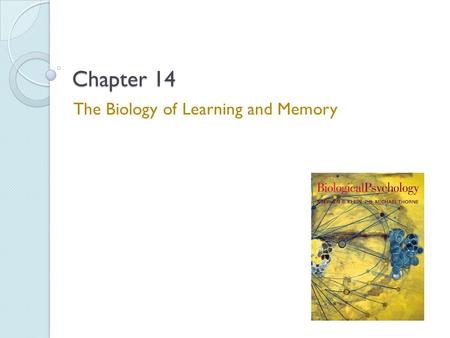 The Biology of Learning and Memory
