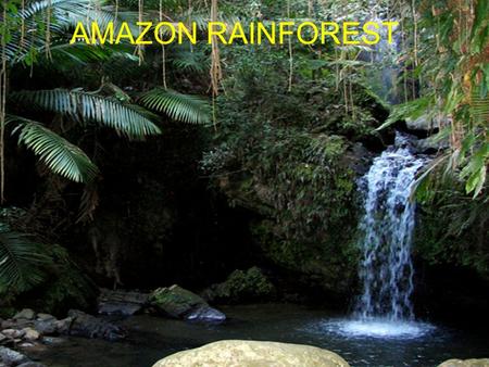 AMAZON RAINFOREST. Start to finish Amazon river facts Starts in the Peruvian Andes 4080 miles in length Most water comes from snow Averges 9 feet of.