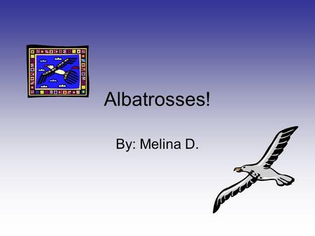 Albatrosses! By: Melina D.. The Albatrosses’ Habitats An albatross's habitats are in many places Example: The Southern ocean Also: New Zealand, South.