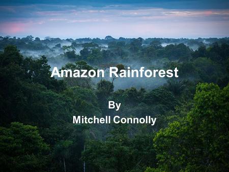 Amazon Rainforest By Mitchell Connolly. Amazon rainforest The Amazon rainforest is in south America. It covers 5,500,000 kilometers out of 7,000,000 kilometers.