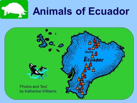 Animals of Ecuador Photos and Text by Katherine Williams.