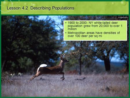 Lesson 4.2 Describing Populations