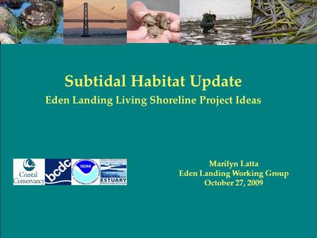 Marilyn Latta Eden Landing Working Group October 27, 2009 Subtidal Habitat Update Eden Landing Living Shoreline Project Ideas.