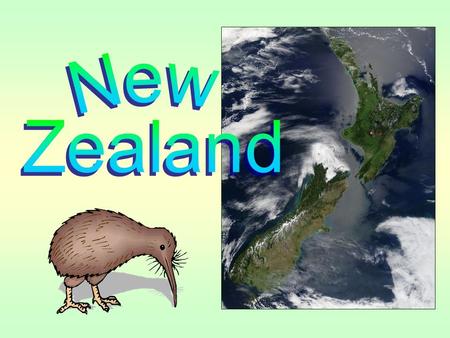 After laying it she leaves her husband to hatchth The kiwi bird was named so for the sound of its chirp. This flightless bird, about the size of a domestic.