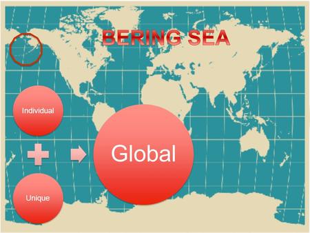 IndividualUnique Global What makes the Bering Sea important to the entire planet? Migratory Birds & Mammals Fish Open Ocean / Sea Ice Chemical processes.