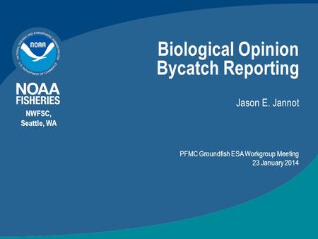 Biological Opinion Bycatch Reporting Jason E. Jannot NWFSC, Seattle, WA PFMC Groundfish ESA Workgroup Meeting 23 January 2014.