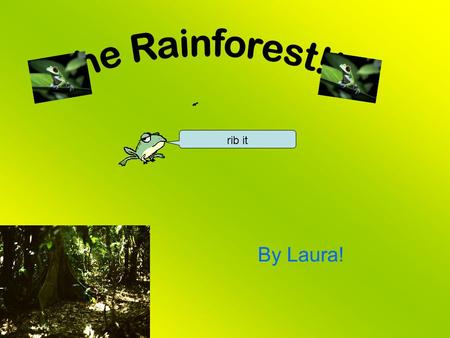 By Laura! rib it. The layers of the rainforest are the emergent layer at the top, the canopy layer, the understory and the forest floor. Layers like.