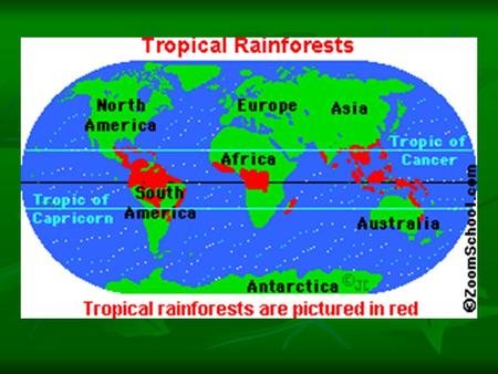 ~Rainforests~ Where are tropical rainforests? Tropical rainforests are located in a band around the equator (Zero degrees latitude), mostly in the area.