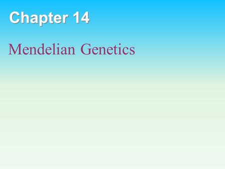 Chapter 14 Mendelian Genetics. I. Mendel’s Approach Advantages of pea plants for genetic study: – There are many varieties with distinct heritable features,
