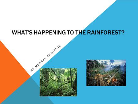WHAT'S HAPPENING TO THE RAINFOREST? BY MURRAY ARMITAGE.