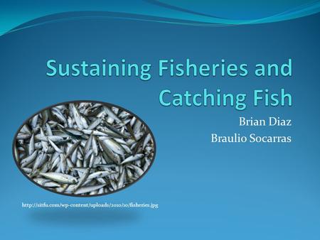 Sustaining Fisheries and Catching Fish