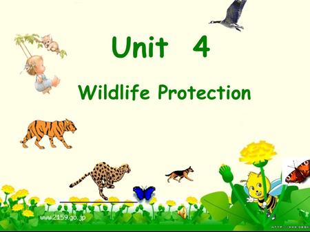 Unit 4 Wildlife Protection Defination of wildlife animals or plants which live or grow in natural conditions Look at some pictures.