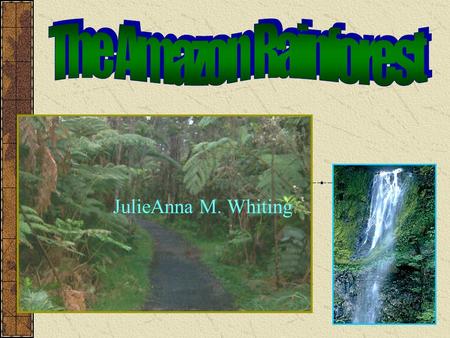 JulieAnna M. Whiting. We Will Explore... Location Animals Tribes Past/ Present/ Future Size Forest Provision.