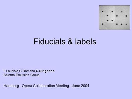Hamburg - Opera Collaboration Meeting - June 2004 Fiducials & labels F.Laudisio,G.Romano,C.Sirignano Salerno Emulsion Group.