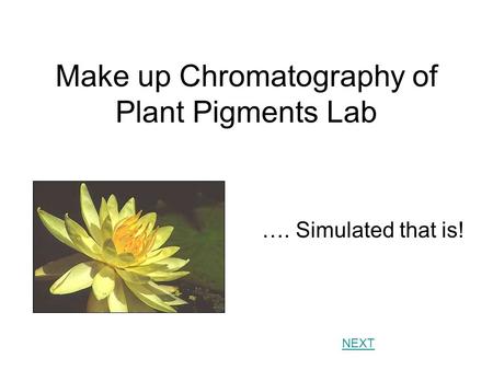 Make up Chromatography of Plant Pigments Lab …. Simulated that is! NEXT.