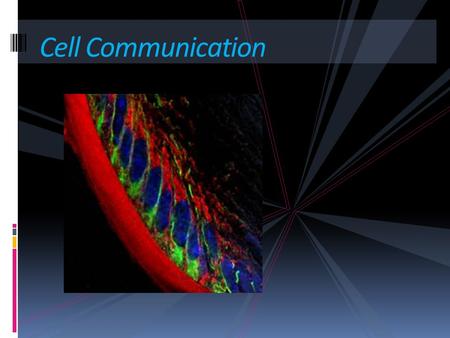 Cell Communication. Introduction  Cells must communicate to coordinate their activities.  Biologists have discovered some universal mechanisms of cellular.